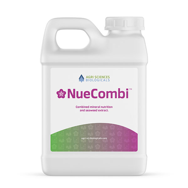 NUE COMBI 4 X 5 LT